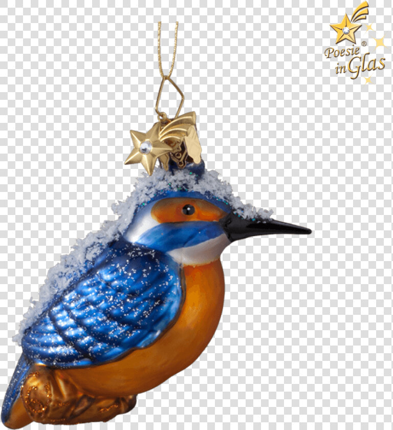 Kingfisher   Common Kingfisher  HD Png DownloadTransparent PNG