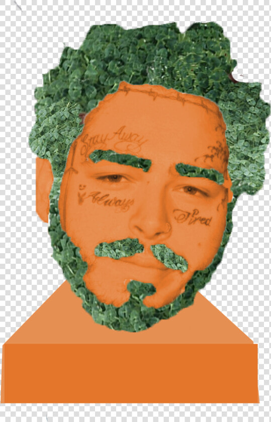 Post Malone Png  Transparent PngTransparent PNG