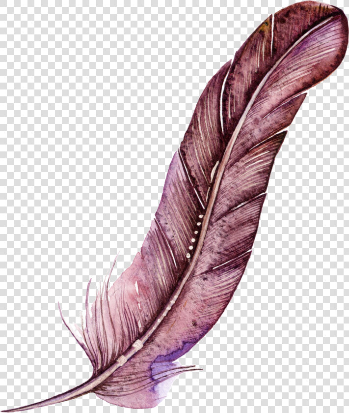 Dark Red Feather Cartoon Watercolor Beautiful Transparent   Watercolor Transparent Feather  HD Png DownloadTransparent PNG