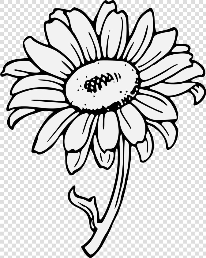 Sunflower Clipart Transparent Background   Png Download   Clip Art Of Yellow Sunflower  Png DownloadTransparent PNG