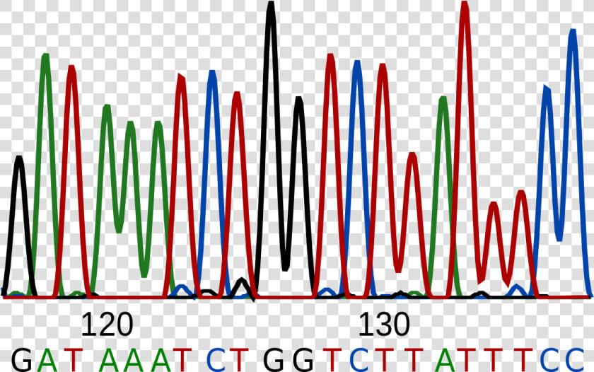 Dna Sequencing Png  Transparent PngTransparent PNG