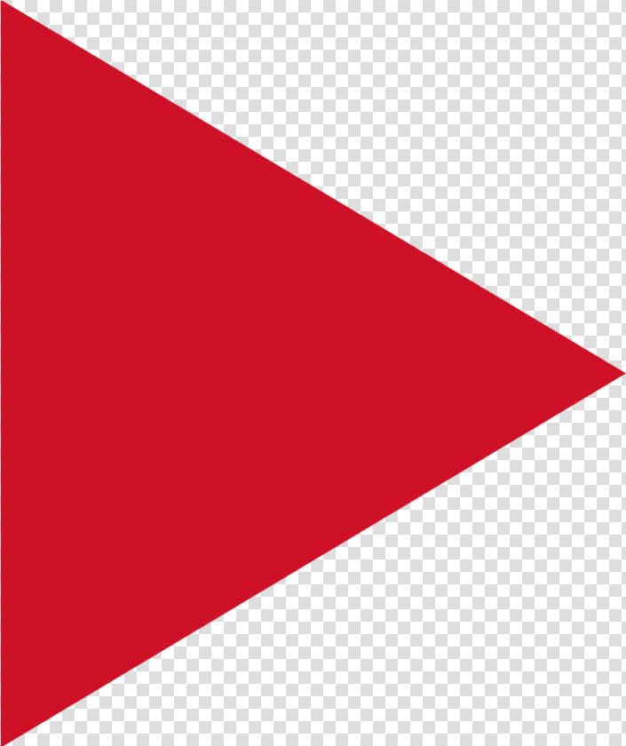 Guyana Flag Png  Transparent PngTransparent PNG