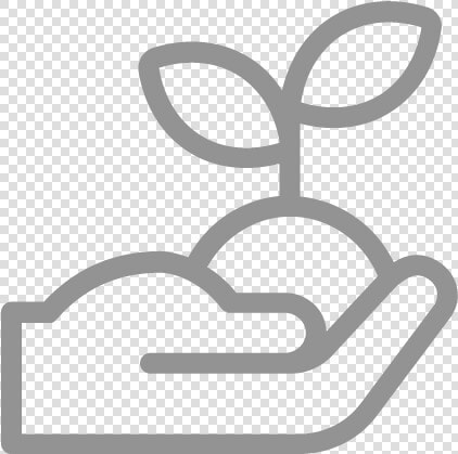 Sprout Seed Icon Grey  HD Png DownloadTransparent PNG