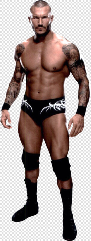 Randy Orton Transparent Png   Randy Orton Wwe Png  Png DownloadTransparent PNG