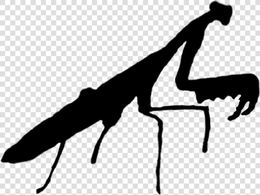  prayingmantis  black  insect  silhouette  kungfu   Silhouette  HD Png DownloadTransparent PNG