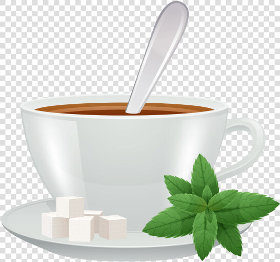 Tea  Tea Cup Png Image Free Download Searchpng   Cup  Transparent PngTransparent PNG