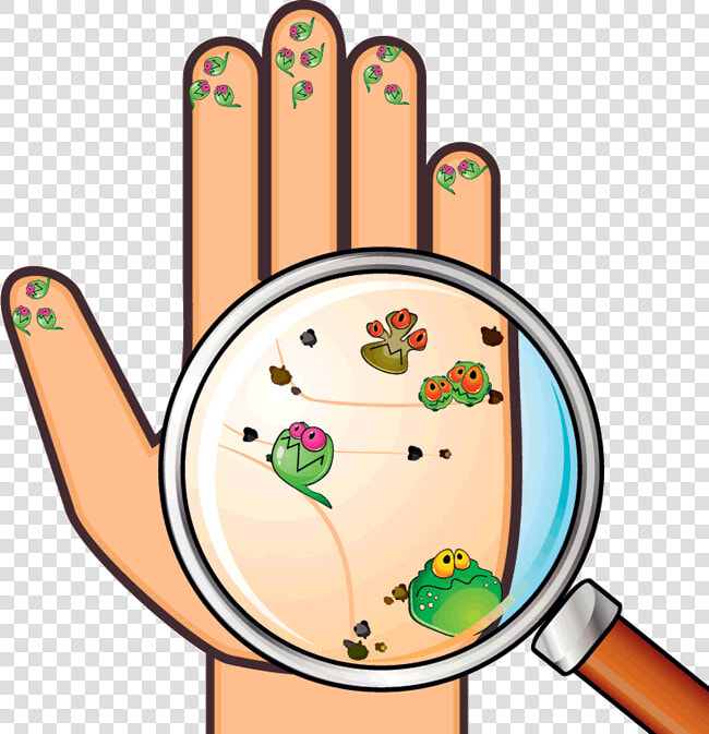 Lavado De Manos   Germs On Hands Clipart  HD Png DownloadTransparent PNG