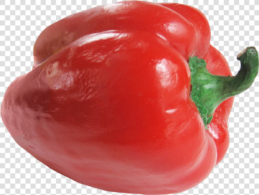 Bell Pepper Red Png Image   Red Bell Pepper Png  Transparent PngTransparent PNG