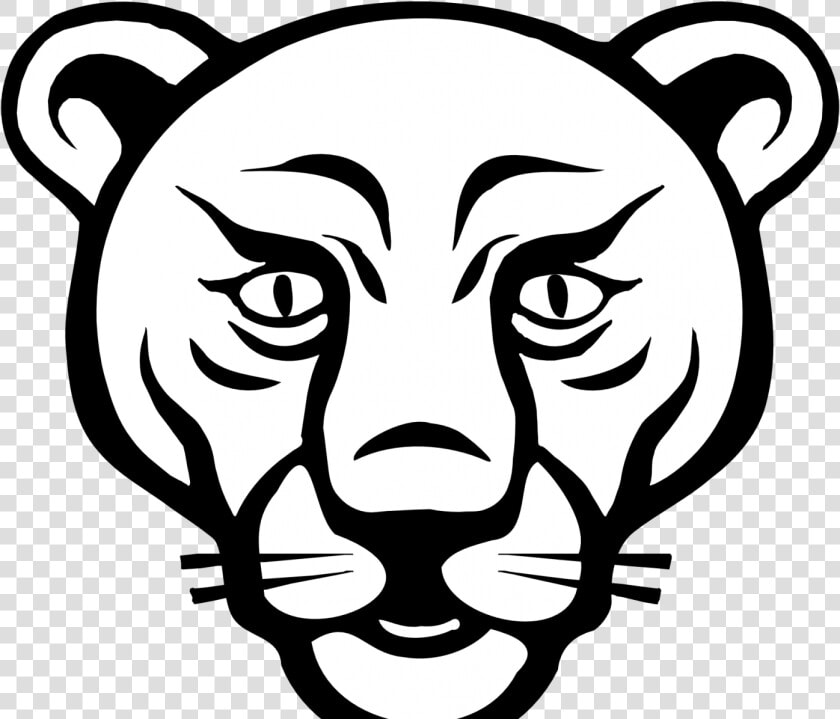 Transparent Lioness Png   Face Mountain Lion Drawing  Png DownloadTransparent PNG