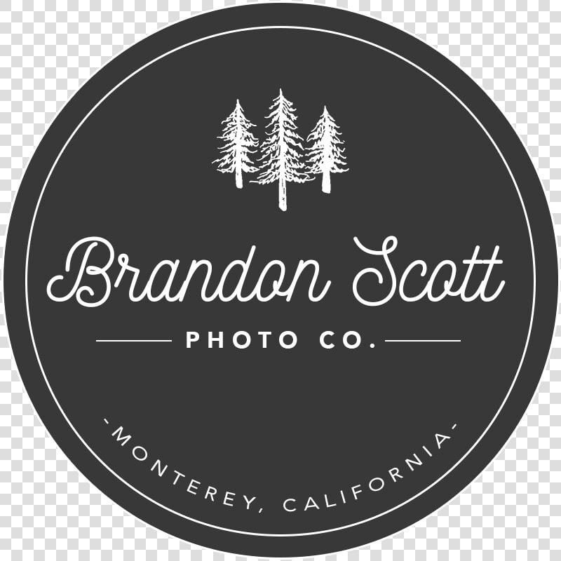 Brandon Scott Photo Co   Broome Community College Hornets  HD Png DownloadTransparent PNG