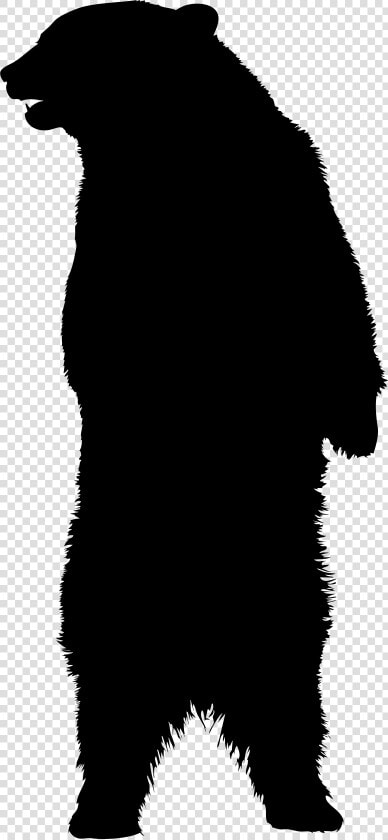 American Black Bear Brown Bear Silhouette   Silhouette Bear Clipart Png  Transparent PngTransparent PNG