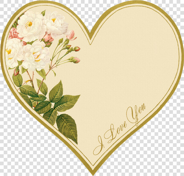 St Valentin ♥ Valentine Heart Png  I Love You ♥   Pierre Joseph Redouté Print  Transparent PngTransparent PNG