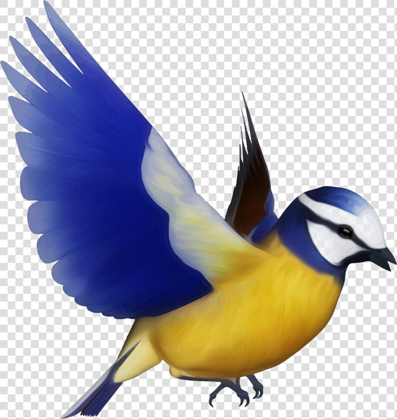 Multicolored Bird Png Free Download   Colorful Flying Birds Png  Transparent PngTransparent PNG