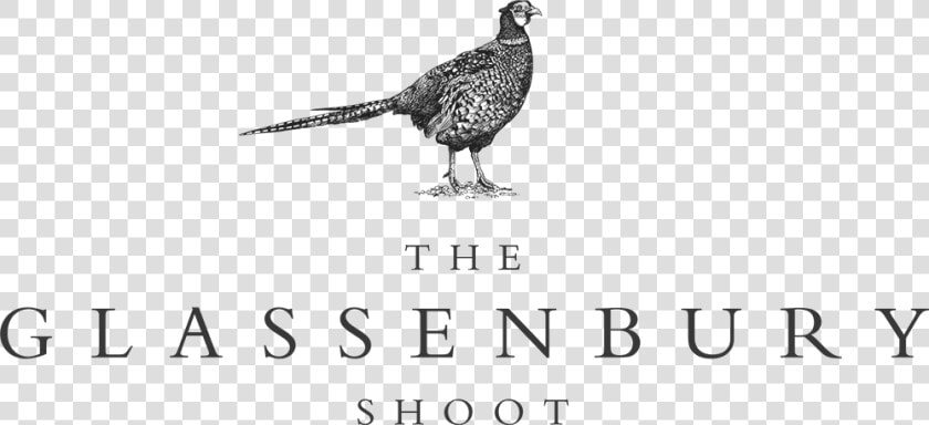 Clip Art Pheasant Logo   Pheasant Shooting Black And White  HD Png DownloadTransparent PNG