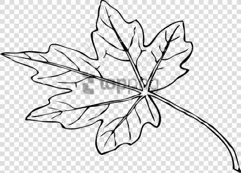 Free Png Papaya Leaf Black And White Png Image With   Small Leaf Black And White  Transparent PngTransparent PNG