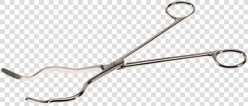 Stainless Steel Tongs   Tool  HD Png DownloadTransparent PNG