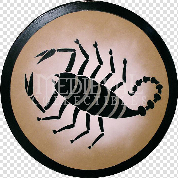 Greek Shield  Spartan Shield  Shield Tattoo  Shield   Greek Shield Designs Scorpion  HD Png DownloadTransparent PNG