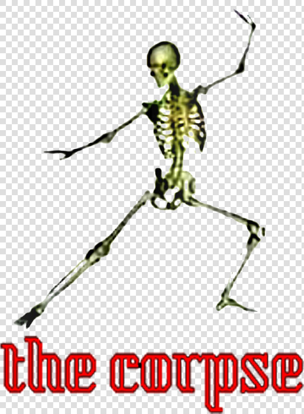 The Corpse   Skeleton  HD Png DownloadTransparent PNG