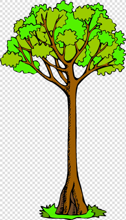 Amazing Tree Clipart Long Clipground Black And White   Long Tree Clipart  HD Png DownloadTransparent PNG