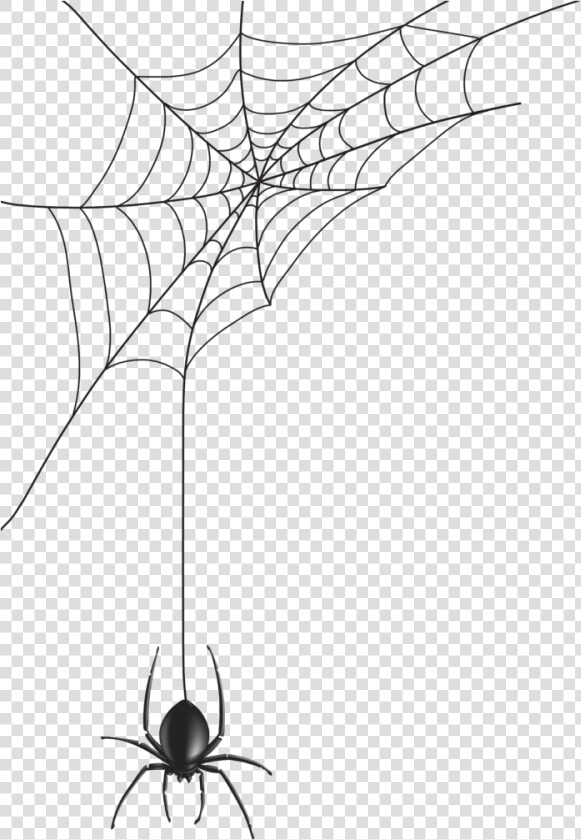 Png Library Download Spider Web Thank You Errortape   Spider And Web Drawing  Transparent PngTransparent PNG