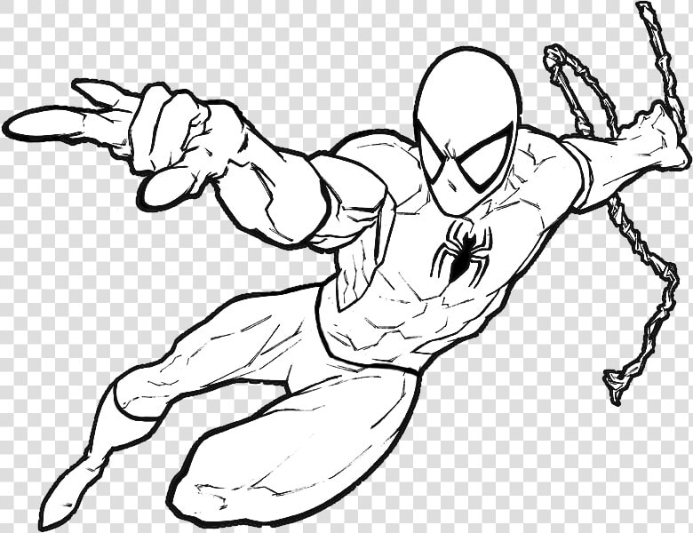 Homem Aranha Para Colorir E Pintar  HD Png DownloadTransparent PNG