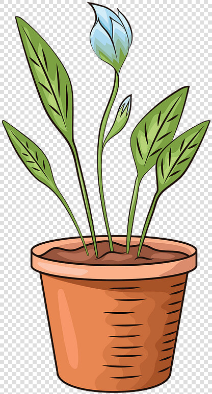 Flower In Pot Clipart   Квітка В Горщику Картинка  HD Png DownloadTransparent PNG