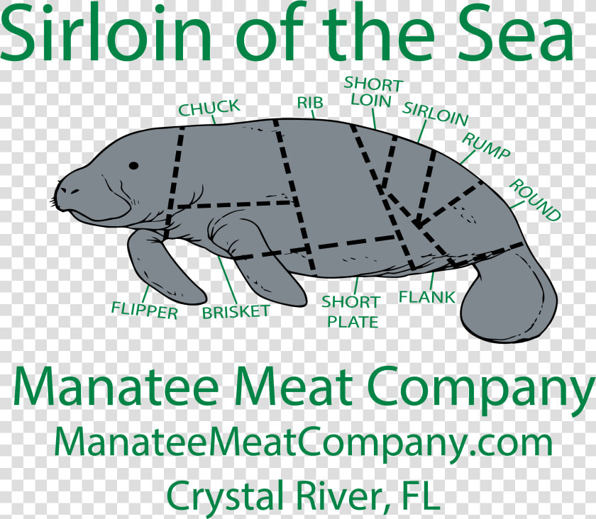 Manatee Meat Company   Sirloin Of The Sea Manatee  HD Png DownloadTransparent PNG