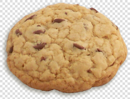 Chocolate Chip Cookie   Pignolo  HD Png DownloadTransparent PNG