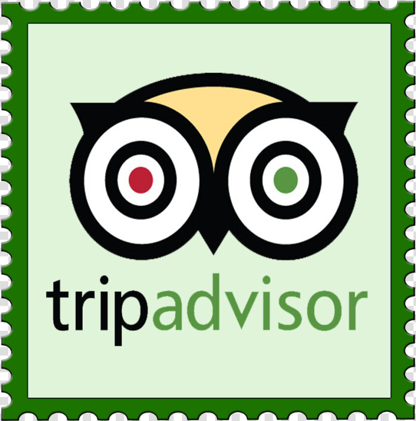 Trip Advisor Reviews Logo  HD Png DownloadTransparent PNG