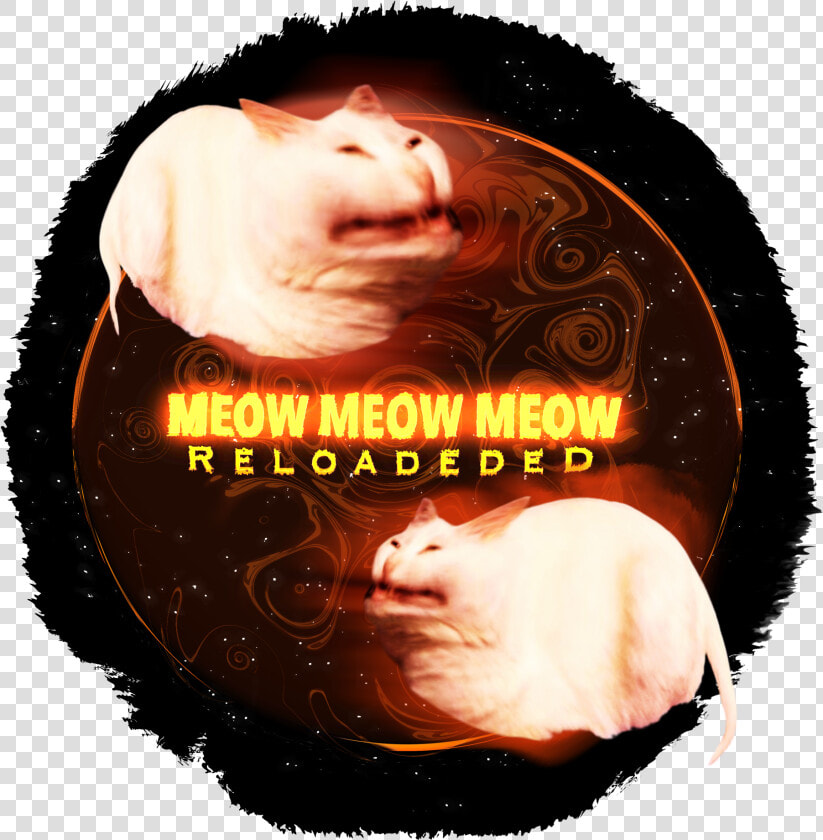 Transparent Meow Png   Punxsutawney Phil  Png DownloadTransparent PNG