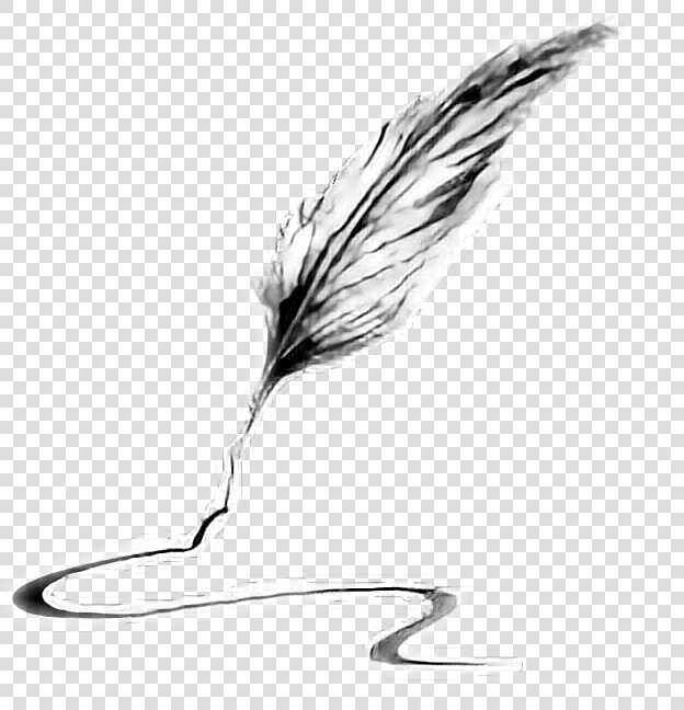 Quill Clipart Pluma   Write Feather  HD Png DownloadTransparent PNG