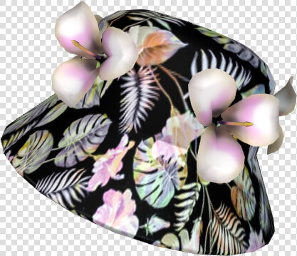 Bucket Hat With Lei Flowers   Moth Orchid  HD Png DownloadTransparent PNG