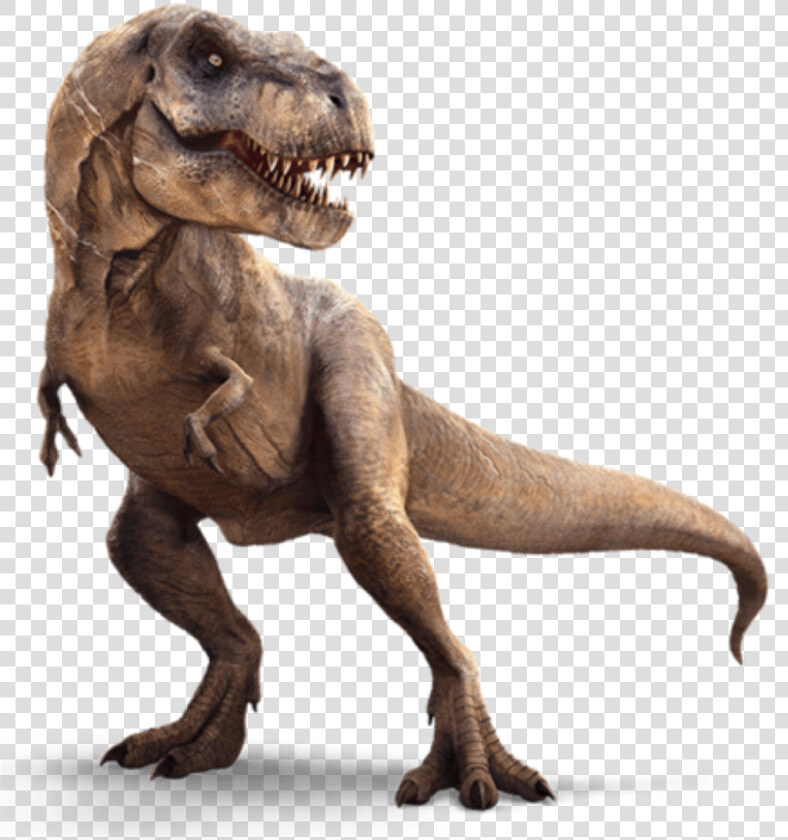 Tyrannosaurus Rex Mmartyniuk   T Rex  HD Png DownloadTransparent PNG