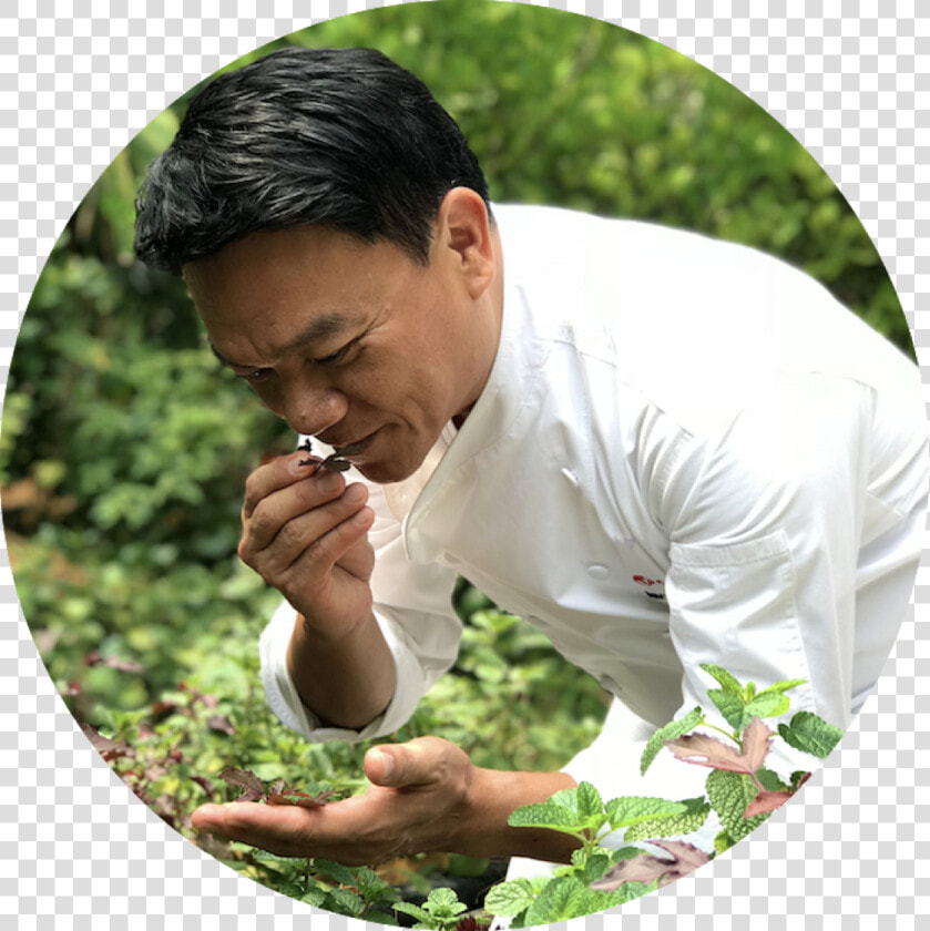 Chef Ian Kittichai At Tangerine S Herb Garden   Grass  HD Png DownloadTransparent PNG