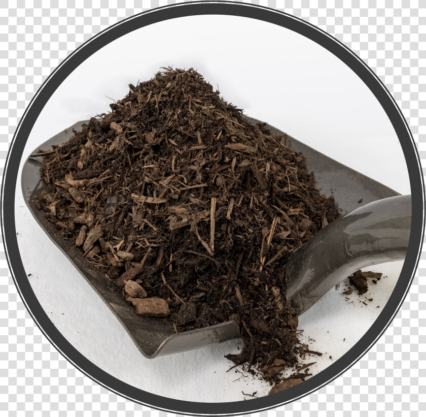 Gb Dark Pine Mulch   Pu erh Tea  HD Png DownloadTransparent PNG