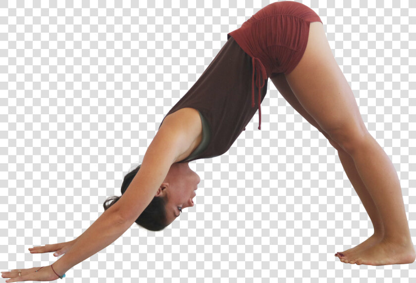 Downward Facing Dog Pose Png  Transparent PngTransparent PNG