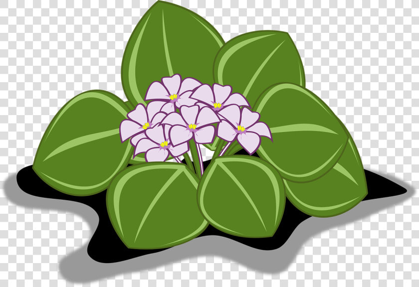 Clipart Gratis De Flores  HD Png DownloadTransparent PNG