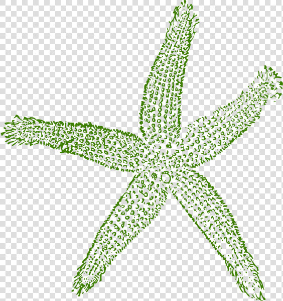 Dark Green Starfish Svg Clip Arts   Blue Starfish Transparent Background  HD Png DownloadTransparent PNG