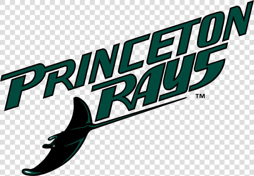 Princeton Devil Rays Logo Png Transparent   Tampa Bay Rays  Png DownloadTransparent PNG