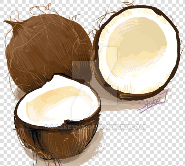 Coconuts Vector Illustration   Cake  HD Png DownloadTransparent PNG