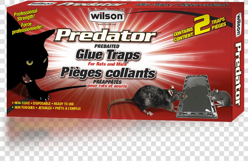 Wilson Predator Mice And Rats Glue Traps   Flyer  HD Png DownloadTransparent PNG