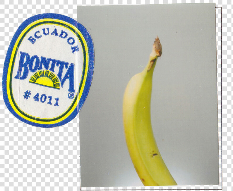 Bonita Bananas  HD Png DownloadTransparent PNG