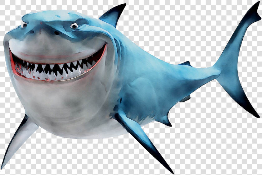 Bruce Great White Shark Portable Network Graphics Finding   Bruce Finding Nemo Transparent  HD Png DownloadTransparent PNG