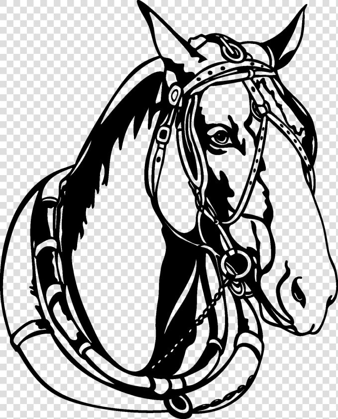 Transparent Horse Head Silhouette Png   Horse Head With Bridle Clip Art  Png DownloadTransparent PNG