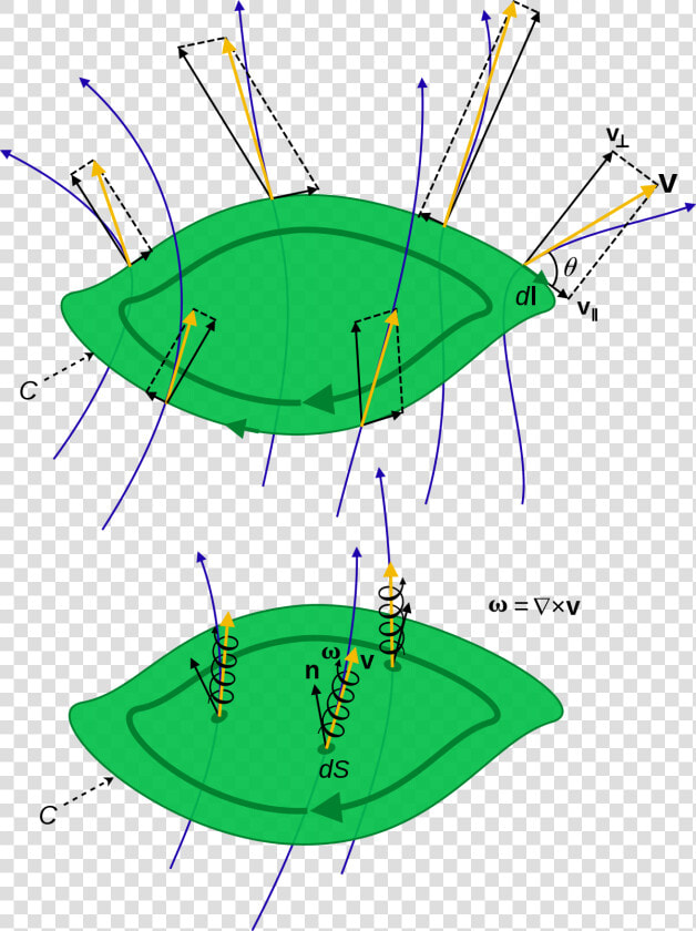 Circulation In Fluid Mechanics  HD Png DownloadTransparent PNG