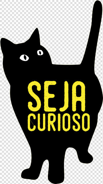 Aproveite A Cidade   Domestic Short haired Cat  HD Png DownloadTransparent PNG