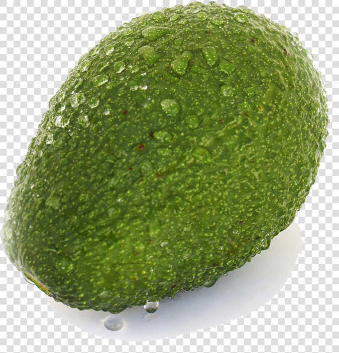 Persian Lime   Png Download   Seedless Fruit  Transparent PngTransparent PNG