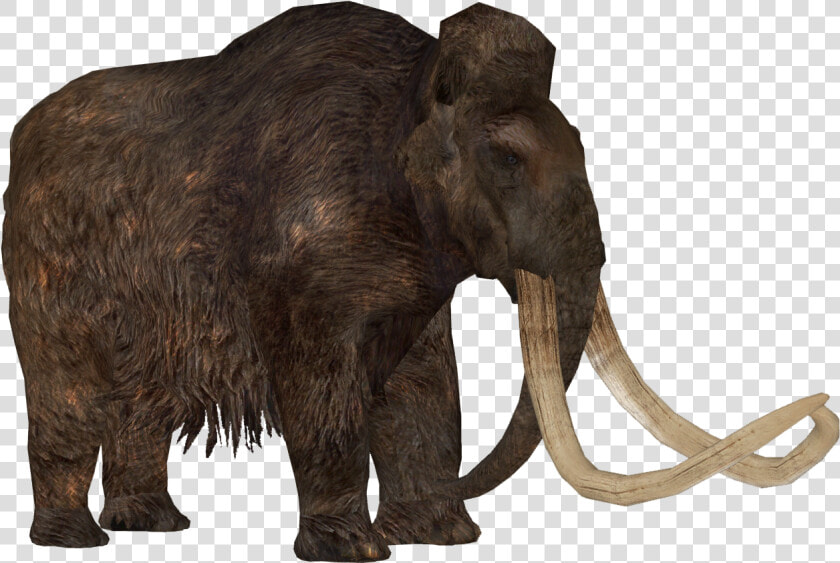 Zoo Tycoon 2 Stegodon  HD Png DownloadTransparent PNG