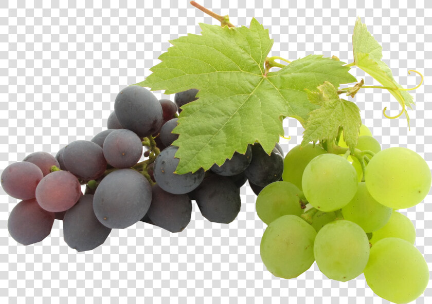 Play Transparent Background   Sonaka Seedless Grapes Png  Png DownloadTransparent PNG