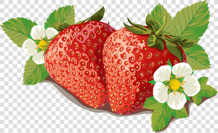 Strawberry Vector   Strawberry Vector Free Png  Transparent PngTransparent PNG